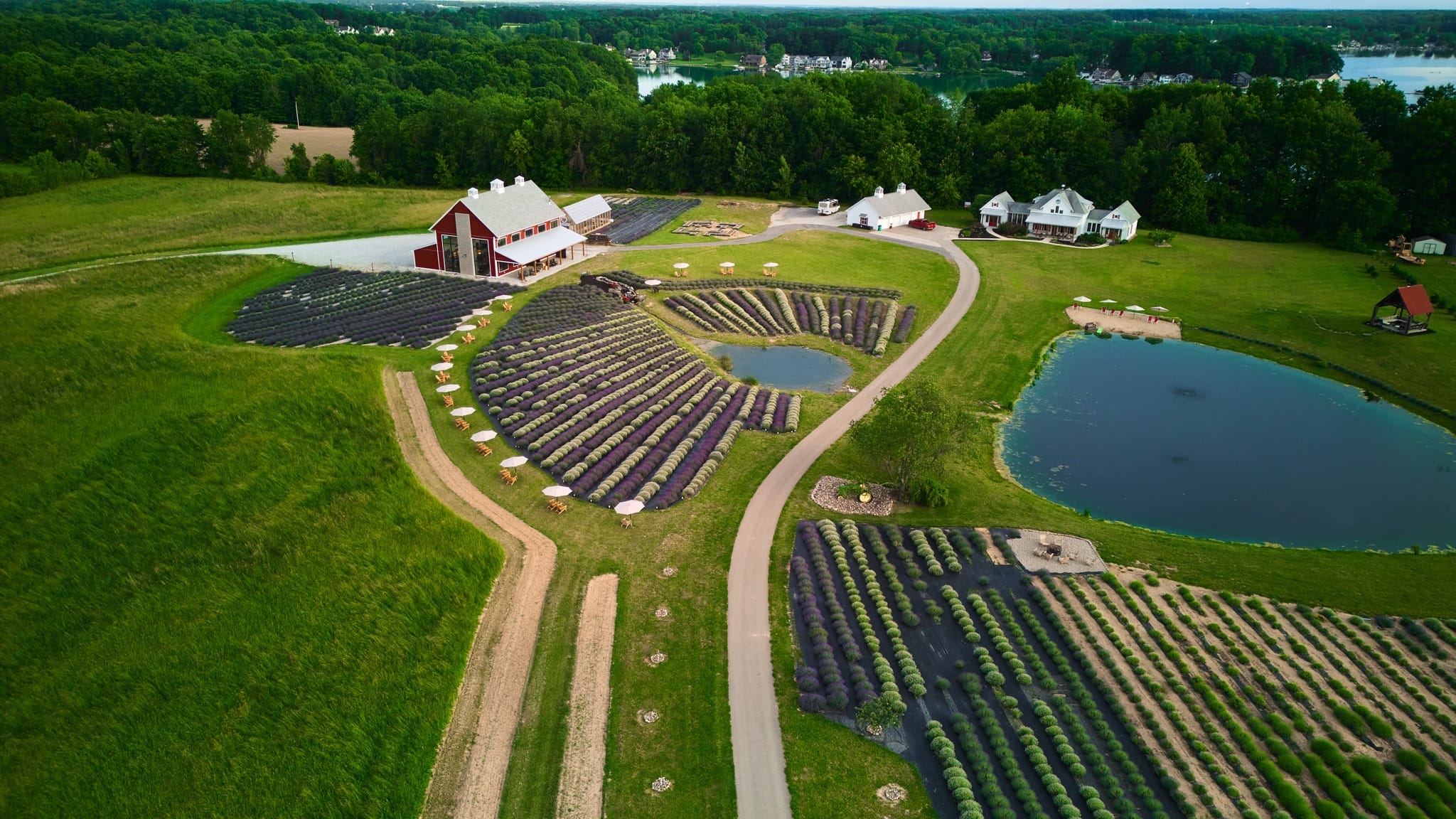 The pond from above