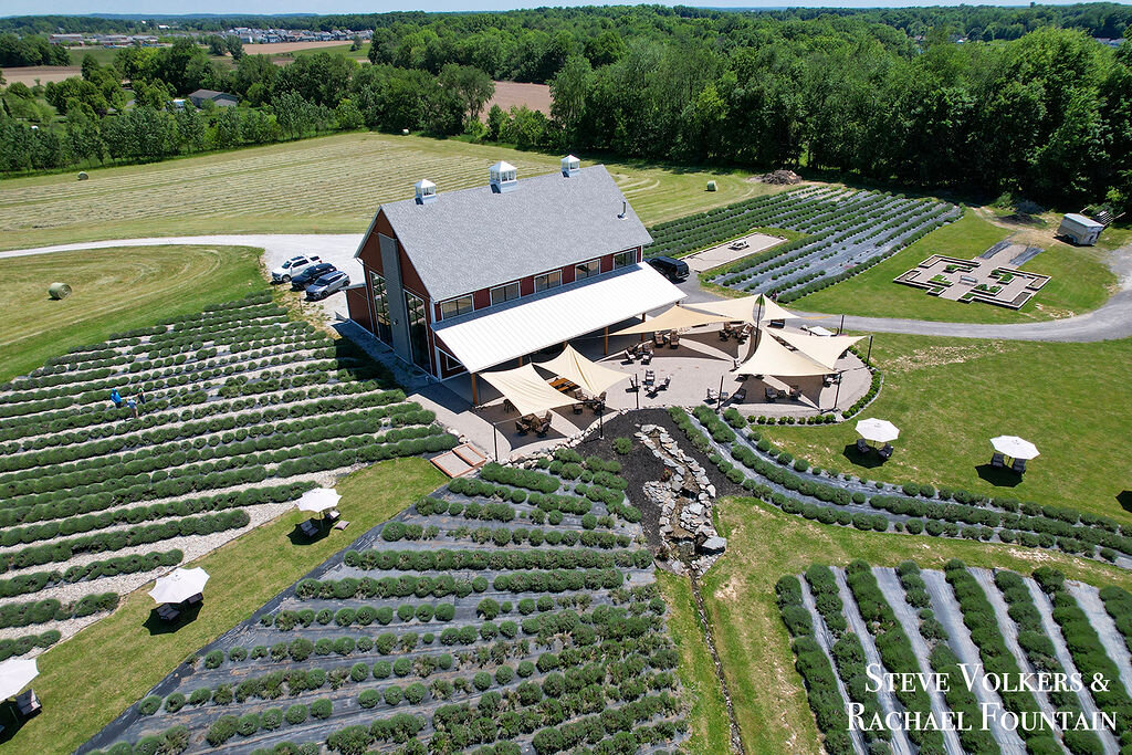 Aerial 203